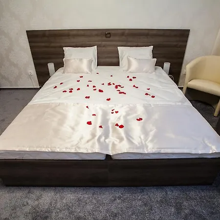 Gæstehus Penzion Olomouc 3*