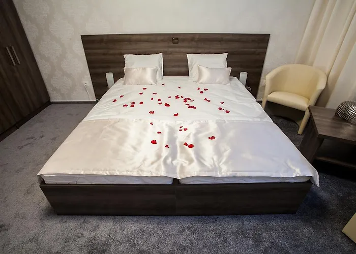 Gæstehus Penzion Olomouc 4*